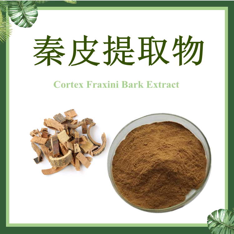 秦皮提取物 10:1 梣皮提取物【SC厂家】秦皮粉