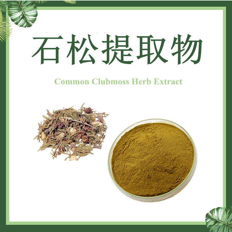 石松提取物 10:1 伸筋草提取物【SC厂家】石松粉