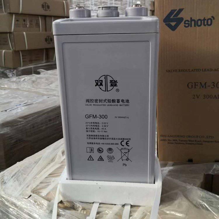 双登蓄电池GFM-300阀控密封式2V300AH电力通信备用电池