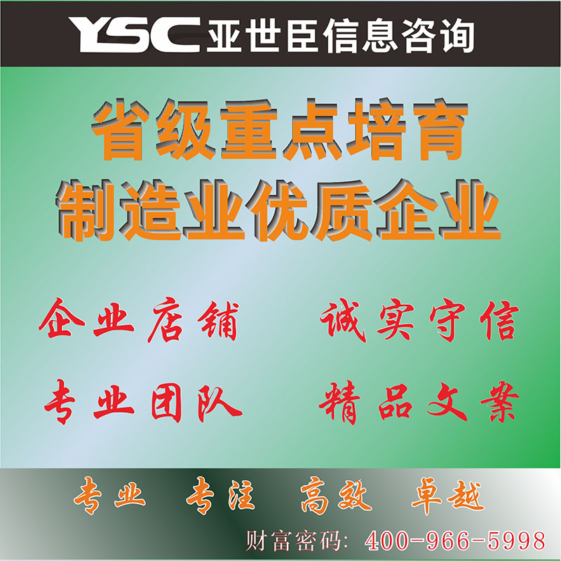 项目申报重点培育制造业企业ISO质量管理体系认证专利代理代写可研商业计划书职业健康安全技术评价