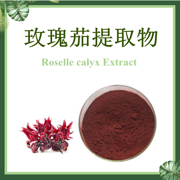 玫瑰茄提取物 10:1 洛神花提取物【SC厂家】玫瑰茄浸膏