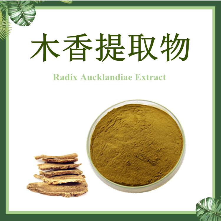木香提取物 10:1 蜜香提取物【SC厂家】木香浸膏粉