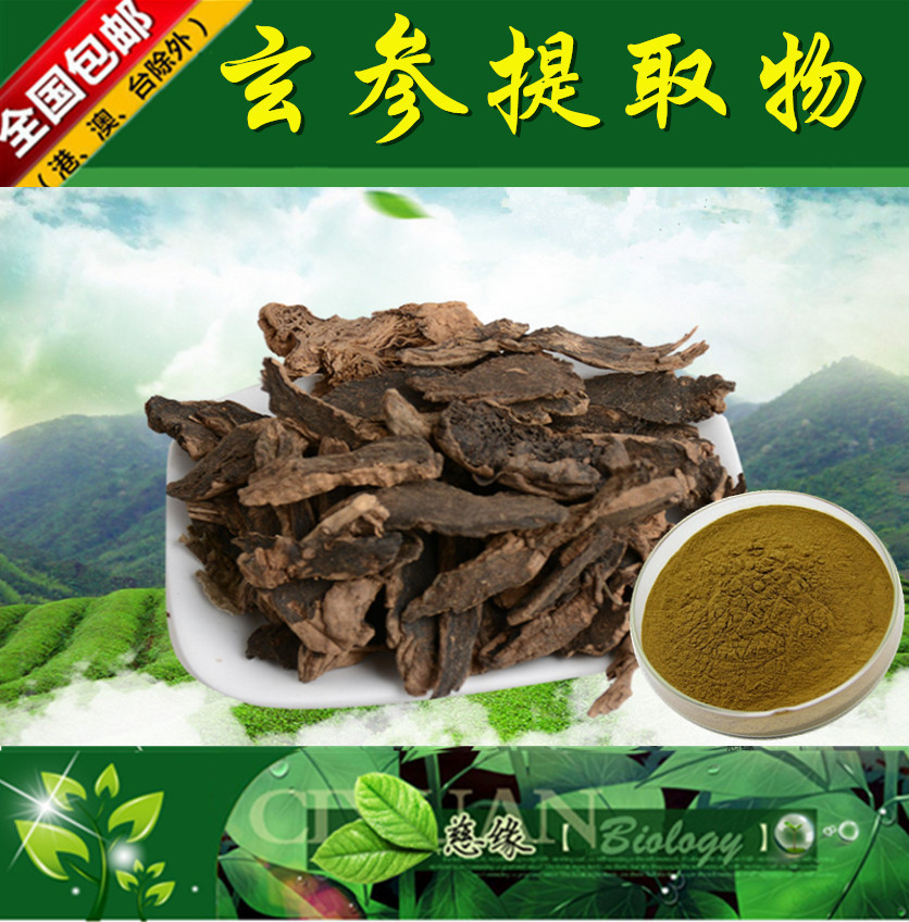 玄参提取物 10:1 元参提取物【SC厂家】玄参粉
