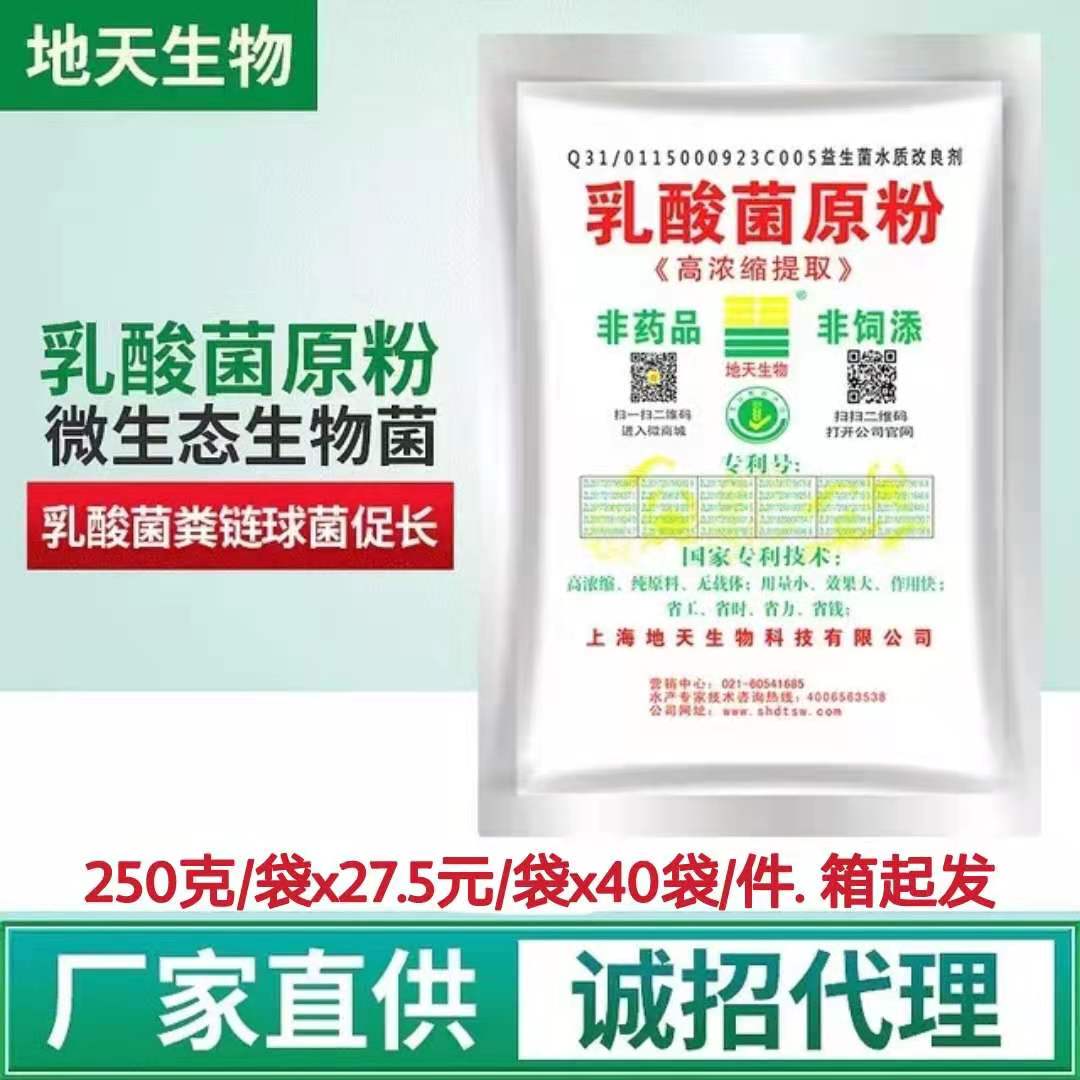 乳酸菌原粉 乳杆菌分解残饵粪便调水底改净水除臭生物菌防病