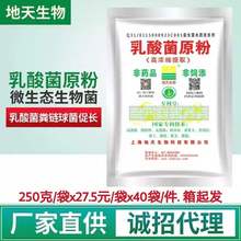乳酸菌原粉 乳杆菌分解残饵粪便调水底改净水除臭生物菌防病