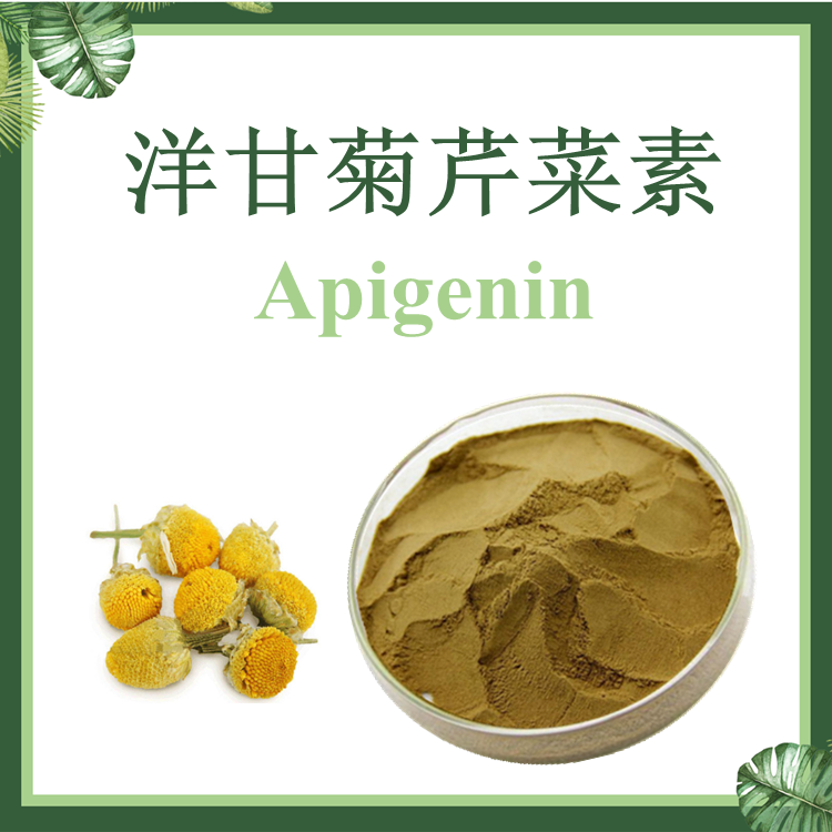 洋甘菊芹菜素1%~5%  洋甘菊提取物【SC厂家】洋甘菊粉