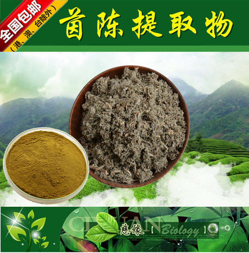 茵陈提取物 10:1 白蒿提取物【SC厂家】茵陈粉