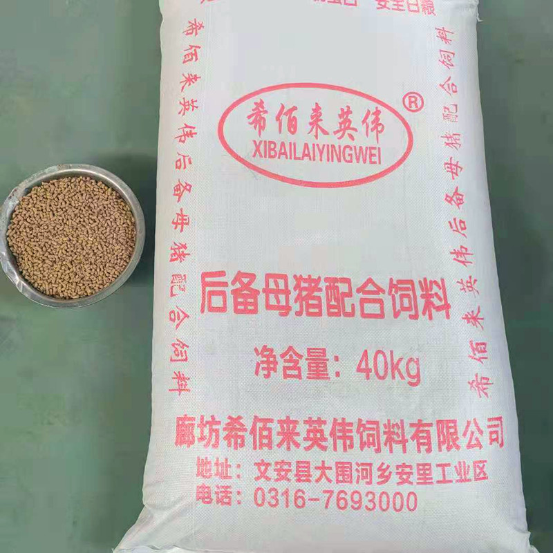 后备母猪配合饲料  母猪用饲料 厂价销售 猪用养殖饲料