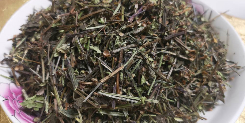 常年供应半枝莲 半枝莲中药材批发 半枝莲价格量大从优 大货批发半枝莲 半枝莲产地货源