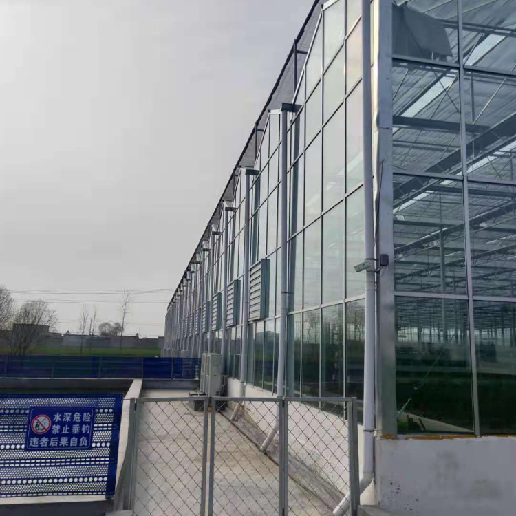 玻璃智能温室搭建 龙玺承建玻璃温室大棚 报价合理