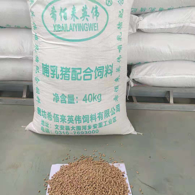 哺乳母猪饲料 哺乳期母猪配合饲料 母猪哺乳期饲料 营养丰富