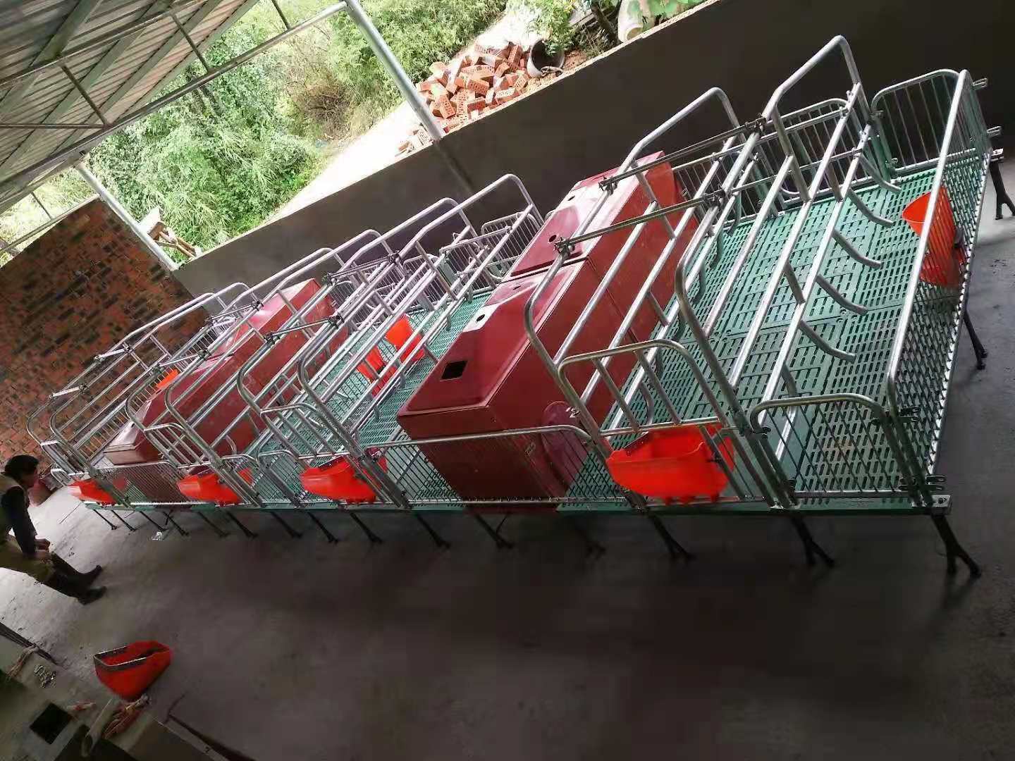 母猪产床复合双体产床 产保两用保育床 仔猪栏养猪场设备