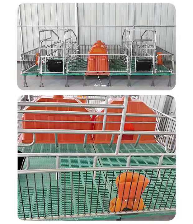 厂家生产母猪产床复合双体产床分娩床养猪设备定为栏养殖设备