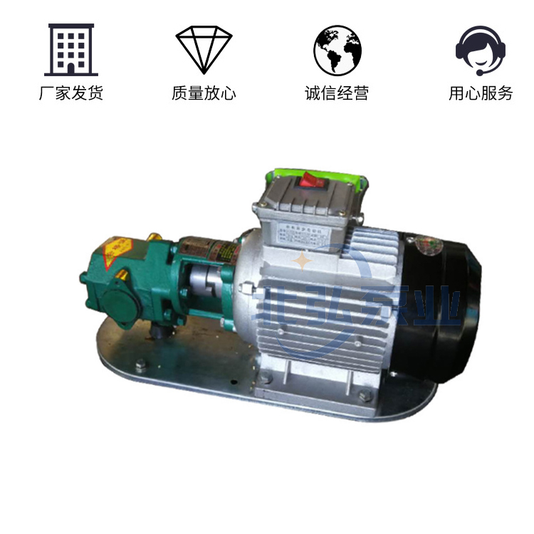 供应WCB30小流量便携式齿轮泵 WCB手提齿轮泵 220V铝合金齿轮泵