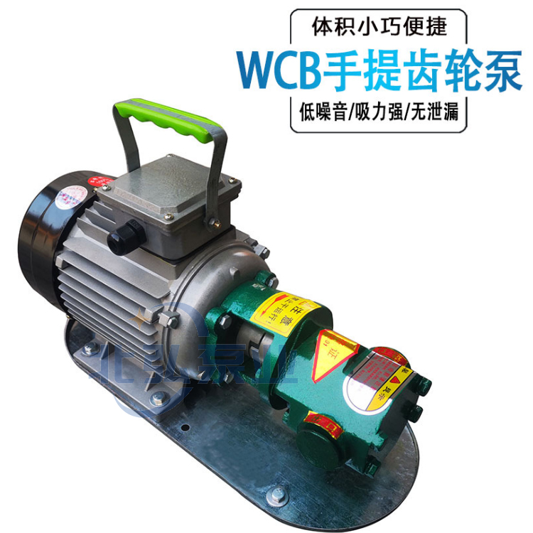 供应手提式齿轮泵 WCB-100齿轮泵 便携式润滑油泵 抽油机卸油泵 欢迎来电