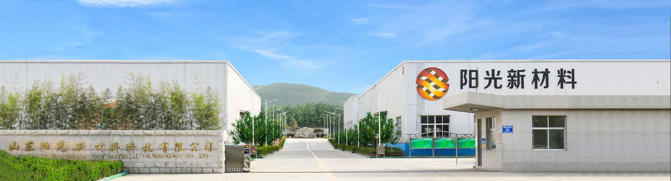 山东阳光新材料科技有限公司 主营产品