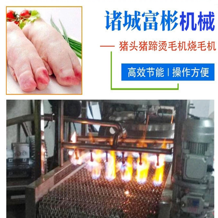全自动燎毛机批发 多种加热方式选择 鸡翅燎毛机