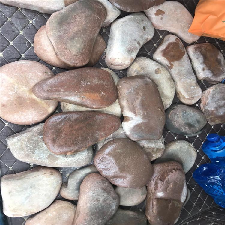 江苏鹅卵石切片供应厂家 彩色鹅卵石 点金石材基地直销 装饰鹅卵石