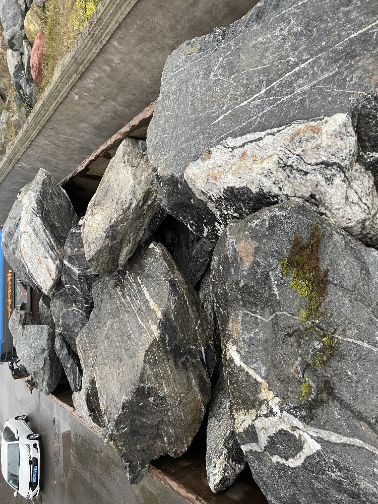 阳江园林雅安石 大型景观石 天然雅安石直销 点金园林石材基地自采