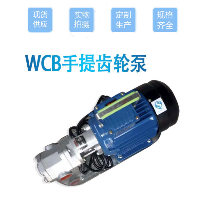 供应手提齿轮泵微型卸柴油液压机油220v小型不锈钢防爆泵wcb电动抽油泵当天发