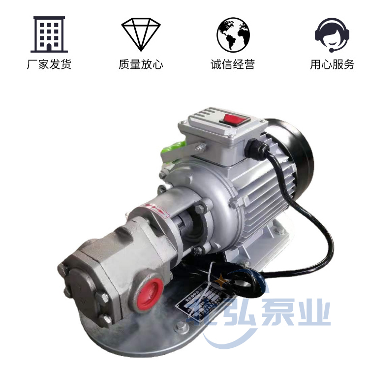 北弘供应手提式齿轮油泵不锈钢型 304材质手提式齿轮泵 手提输油泵 便捷