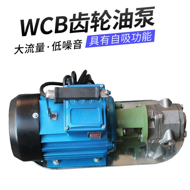 供应WCB手提泵 220v便携式齿轮泵微型304 不锈钢齿轮油泵现货多多