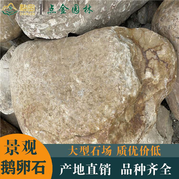 好看的鹅卵石 景观园林  天然鹅卵石 点金园林直销厂家