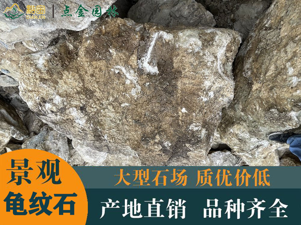 福州灵璧龟纹石厂家 龟纹石假山 景观石观景石料 点金园林厂家直销
