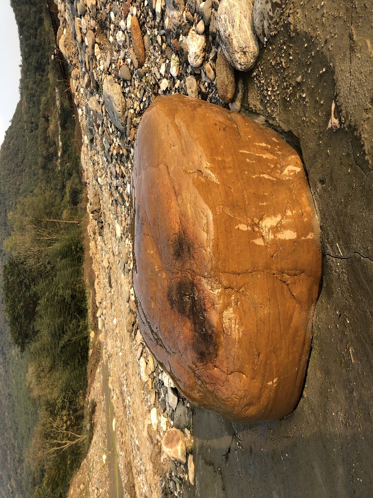 徐州天然黄蜡石销售 黄蜡石厂家 点金园林徐州黄蜡石基地优质现货供应