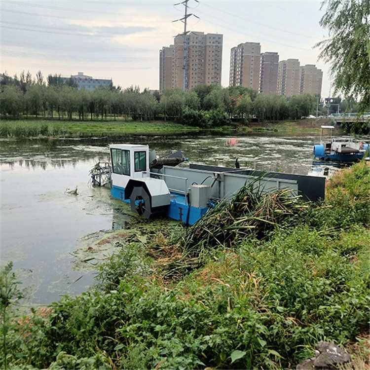 水库割草船供货商 洁科供应水库割草船 欢迎来电