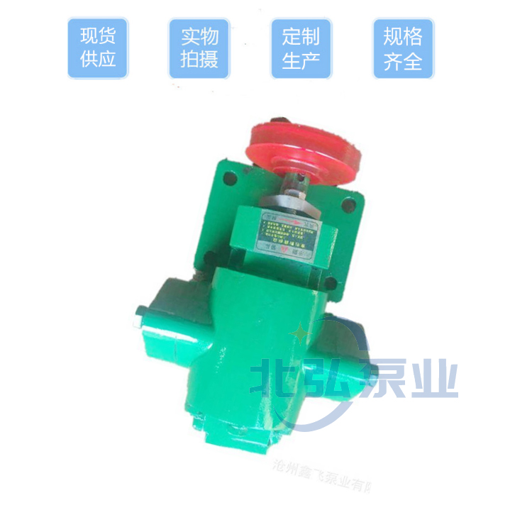 供应现货WZYB5/0.6外润滑渣油泵泵头 外润滑齿轮泵 耐用型齿轮油泵河北货 使用时间长