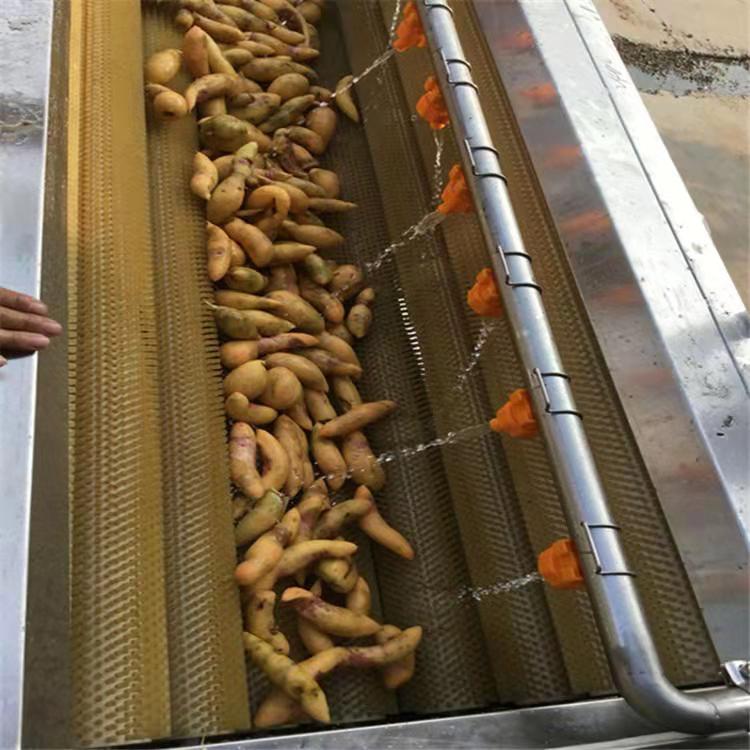 裕科毛辊清洗机土豆毛辊清洗机胡萝卜清洗机毛辊清洗机800型