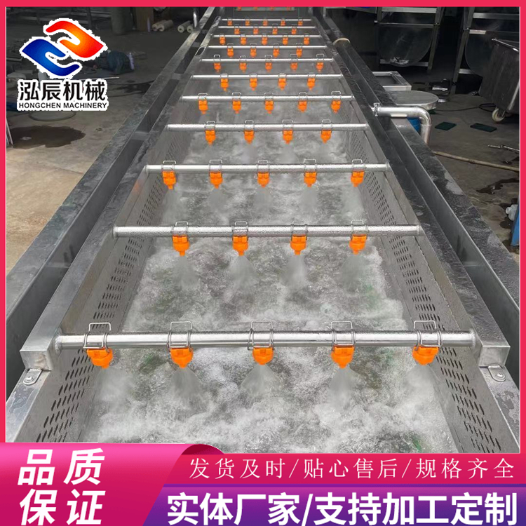泓辰供应 果蔬气泡清洗机 豆芽菜气泡清洗机 冲浪式水果清洗机 规格齐全