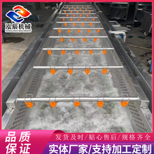 泓辰供应 果蔬气泡清洗机 豆芽菜气泡清洗机 冲浪式水果清洗机 规格齐全