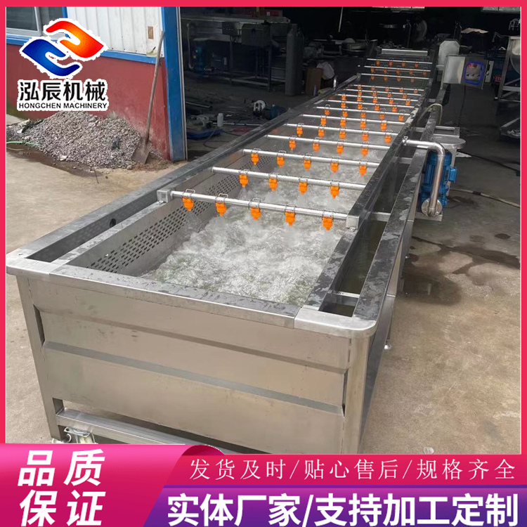 中药材气泡清洗机 喷淋式气泡清洗机 叶类蔬菜加工清洗生产线 泓辰可定制