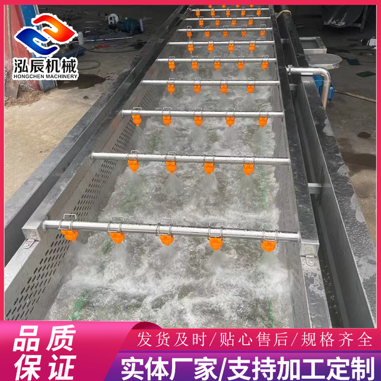 上海青气泡清洗机 叶菜类气泡清洗机 蔬菜水果气泡清洗机 泓辰新款