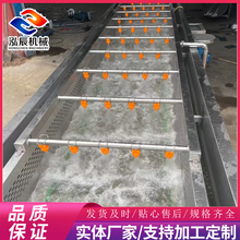 供应 中药材气泡清洗机 百香果气泡清洗机 西红柿气泡清洗机 清洗机厂家