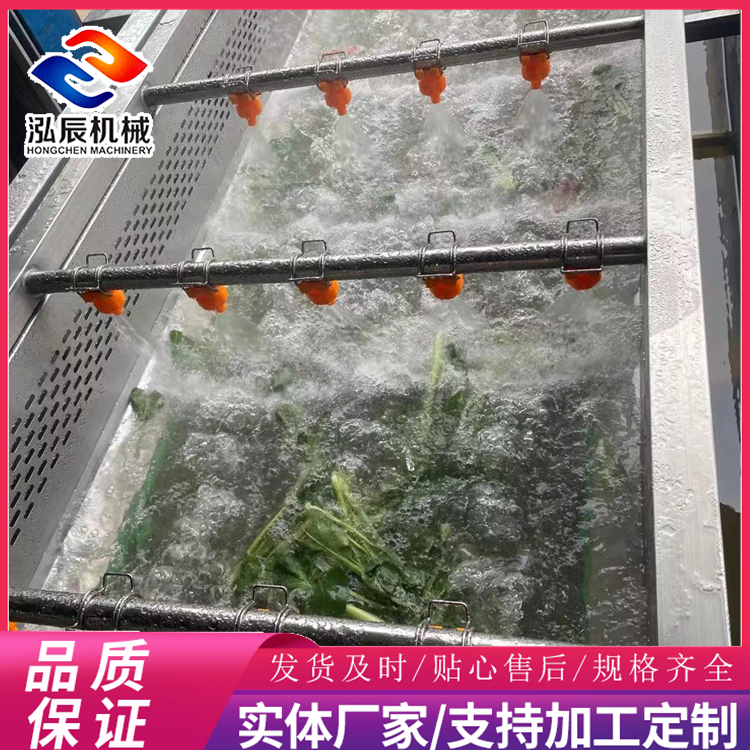 西红柿气泡清洗机 杏鲍菇气泡清洗机 连续式果蔬清洗机 气泡清洗流水线