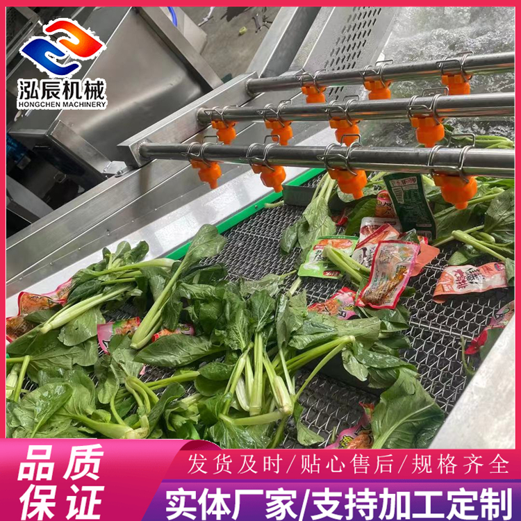 泓辰食品外包装袋清洗机 小龙虾高压果蔬清洗机 多功能气泡清洗机 厂家定制