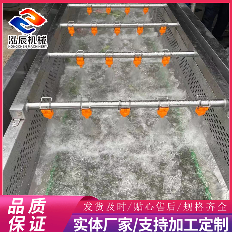 全自动净菜加工流水线 蔬菜果蔬气泡清洗机 强力喷淋气泡清洗机 泓辰定制