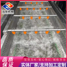 全自动净菜加工流水线 蔬菜果蔬气泡清洗机 强力喷淋气泡清洗机 泓辰定制