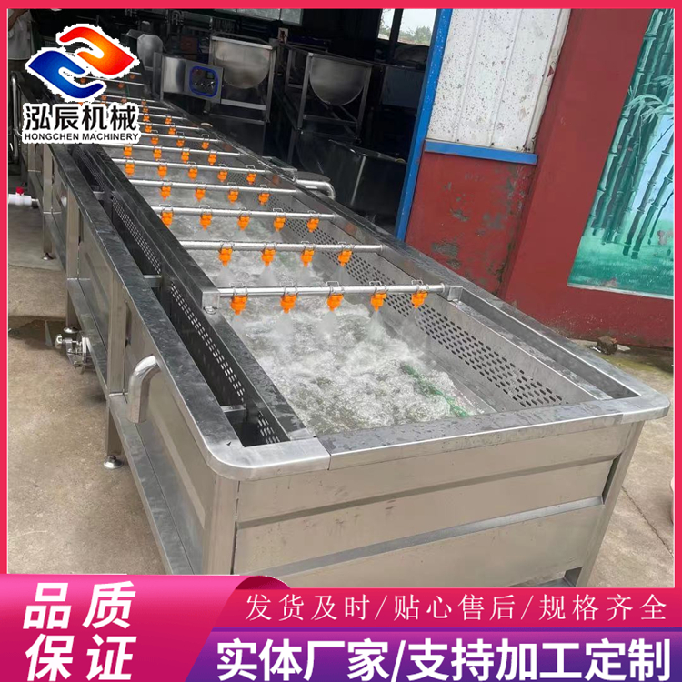 泓辰机械 全自动气泡清洗机 不锈钢气泡清洗机 蔬菜气泡清洗机 精选商家
