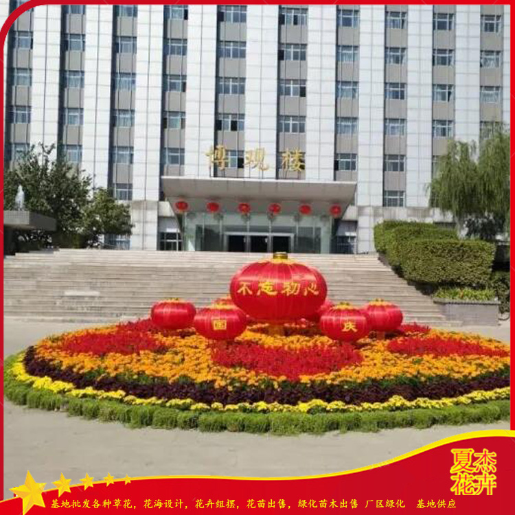 花坛组摆花卉  节日广场花卉摆放  公园花卉组摆  夏杰花卉组摆