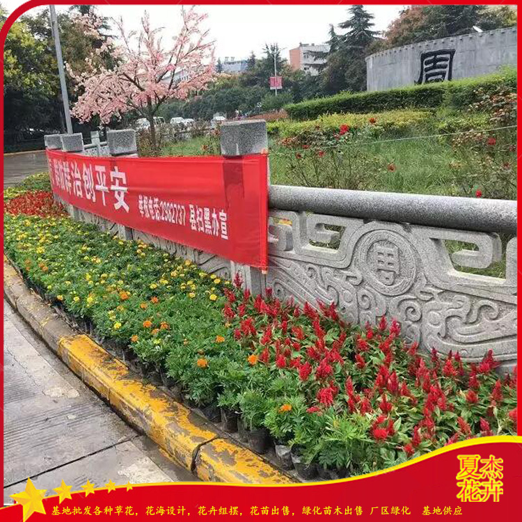 公园花柱出售  花卉摆放造型设计  花坛花卉摆放设计施工