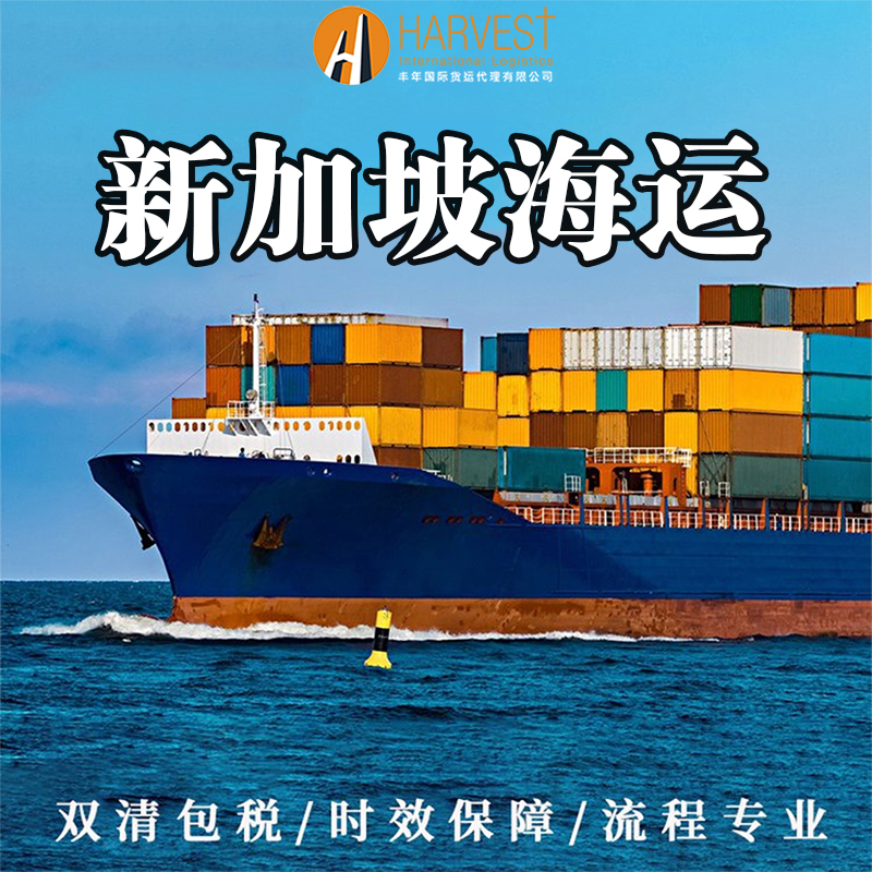 广州到新加坡海运物流双清门到门新加坡专线