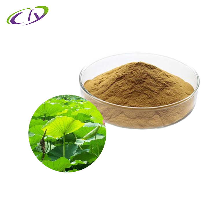 【SC厂家】荷叶提取物10:1 莲叶提取物 荷叶粉 
