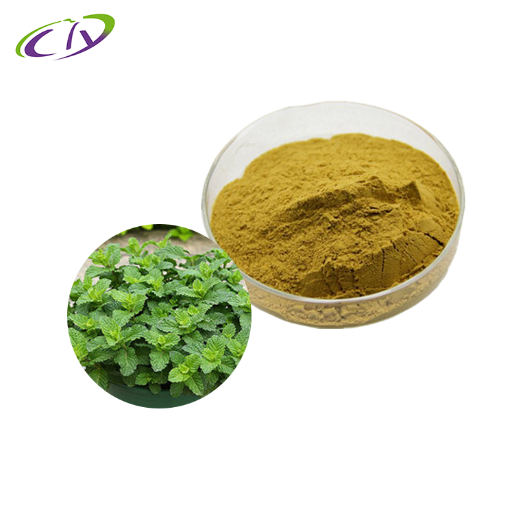 【SC厂家】薄荷提取物10:1 薄荷萃取  薄荷粉 