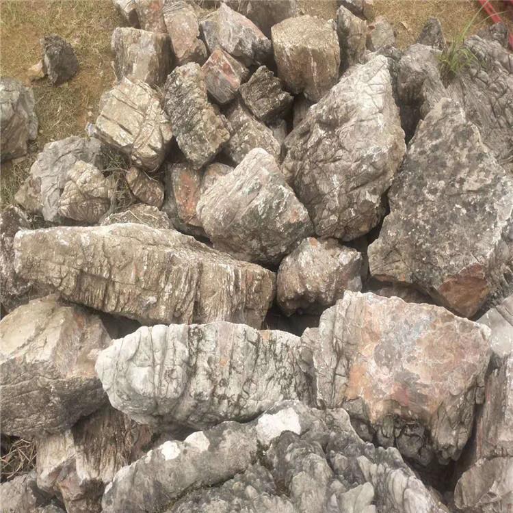 泰州大型龟纹石矿山 天然龟纹石假山石料 庭院龟纹石 点金园林直销