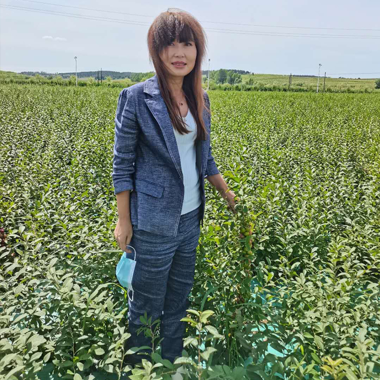 果树 欧李钙果 苗 0.5-1米 销售 地栽