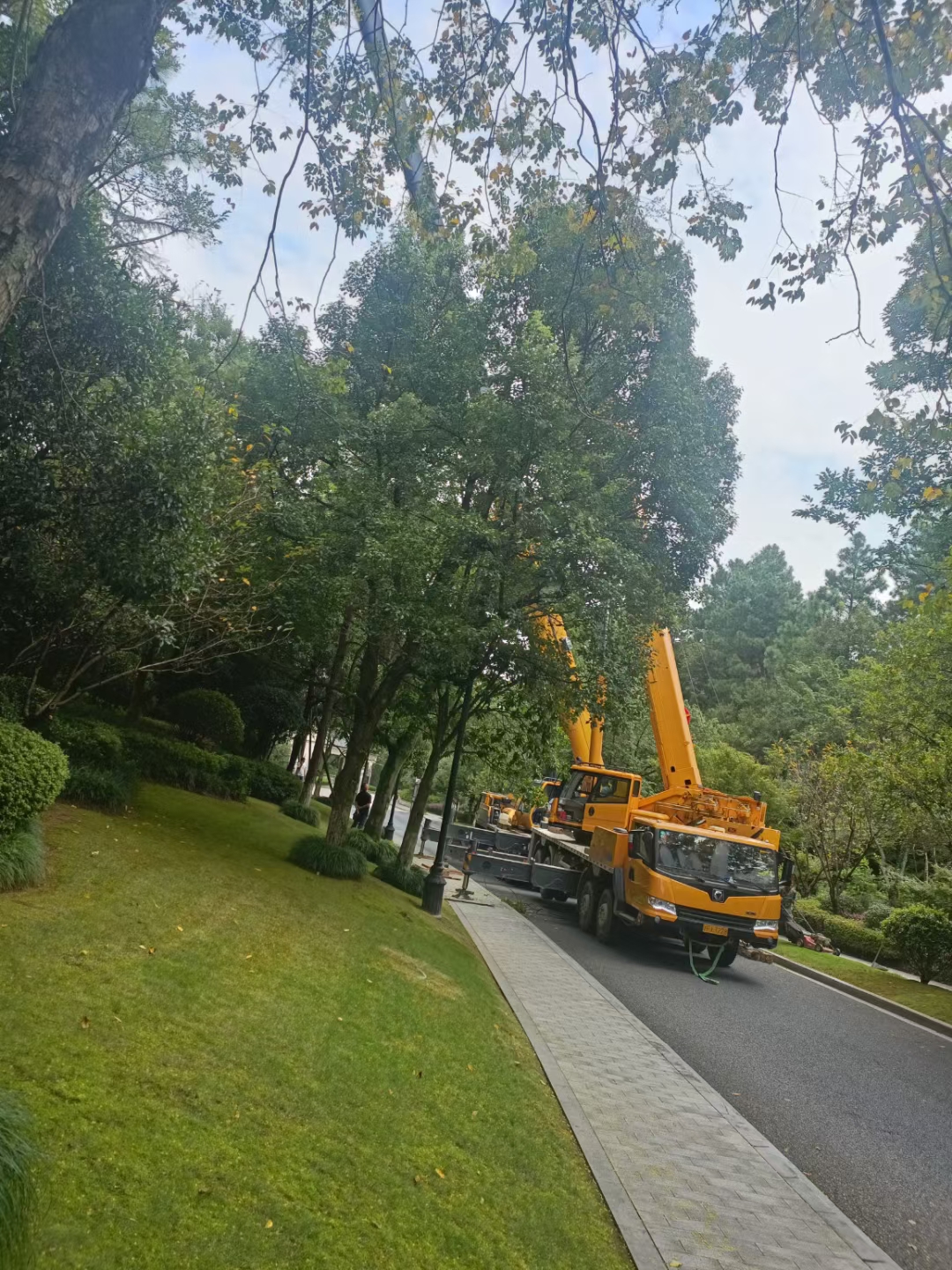 枣庄市8-500吨大型吊车出租 设备吊装搬运 日租月租均可